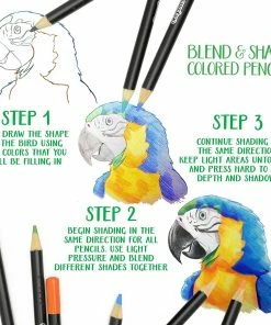 CRAYOLA SIGNATURE BLEND & SHADE COLOR PENCILS 50 PENCILS -CRAYOLA Shop 071662320058 4